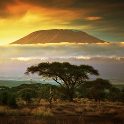 Kenya Mount Kilimanjaro Views